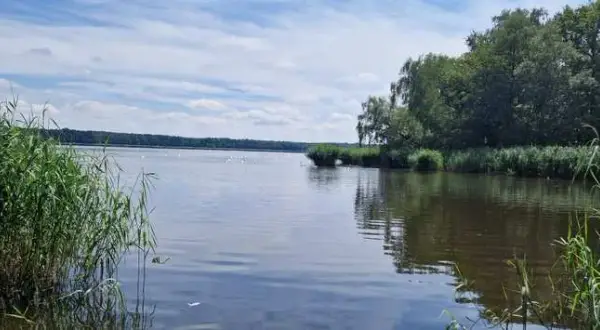 Niemodlin atrakcje, które zaskoczą każdego turystę w regionie