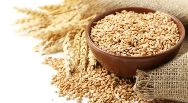 Mąka durum czy ma gluten? Sprawdź, czy jest bezpieczna dla celiaków