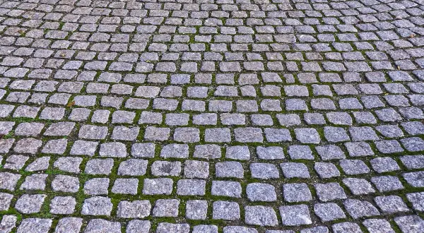 Jaką zaprawę do kostki brukowej wybrać, aby uniknąć problemów?