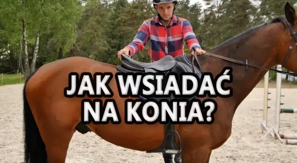 Jak wsiadać na konia: uniknij błędów i wsiądź pewnie na siodło