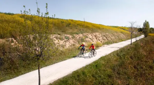 Fajne trasy rowerowe w Polsce, które musisz poznać i pokochać