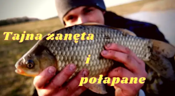 Domowa zanęta na karasia: skuteczny przepis na udane wędkowanie