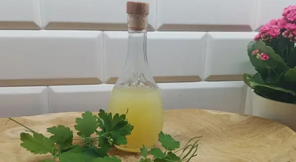 Balsam Bołotowa na co pomaga: odkryj jego niezwykłe właściwości zdrowotne