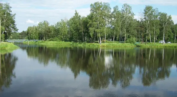 Łowisko Kamionka - odkryj tajemnice zbiornika i wędkarstwa w regionie