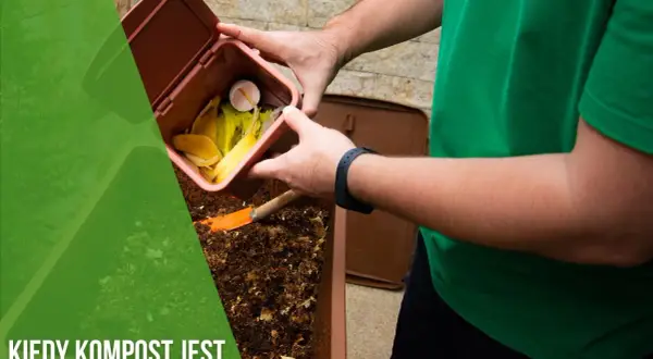 Kiedy kompost jest gotowy? Oto oznaki, które musisz znać