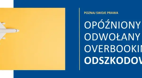 Odszkodowanie za opóźniony lot: kto odpowiada, biuro czy przewoźnik?