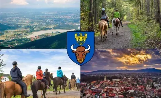 Najlepsze stadniny koni w Żywcu – usługi, opinie i lokalizacje