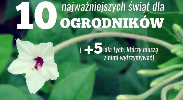 Kiedy jest dzień ogrodnika? Odkryj jego znaczenie i tradycje