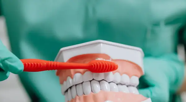 Na ile dentysta może wystawić L4? Sprawdź, zanim pójdziesz do lekarza