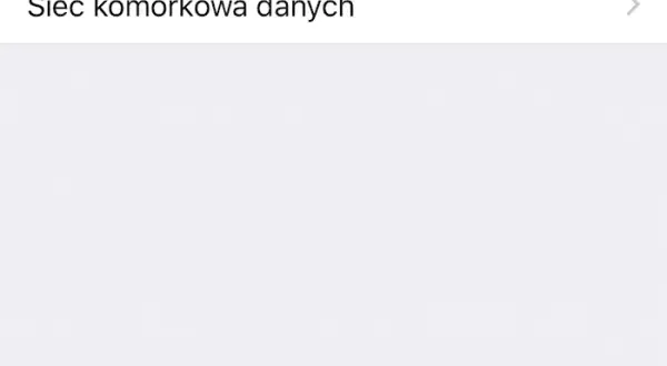 Jak włączyć roaming w Plusie i uniknąć niepotrzebnych kosztów w abonamencie