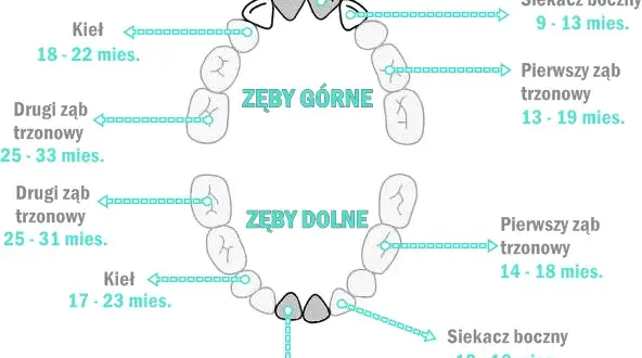 Ząbkowanie które zęby najgorsze: jak złagodzić ból u niemowląt