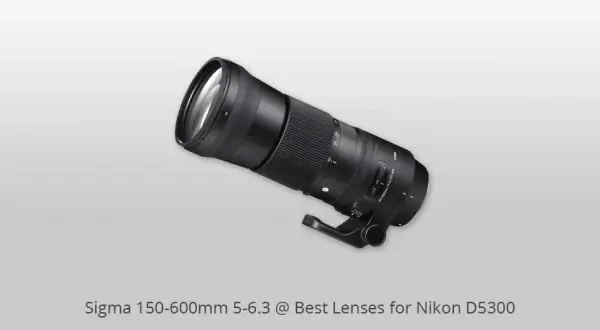 Najlepszy obiektyw do Nikon D5300: Jak wybrać idealny do Twoich potrzeb fotograficznych