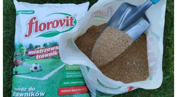 Jaki nawóz na trawnik w czerwcu, aby uniknąć błędów w pielęgnacji?