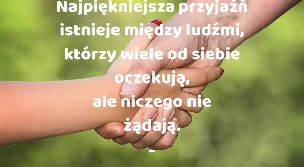 Cytaty o przyjaźni: co to jest prawdziwa przyjaźń i jej znaczenie
