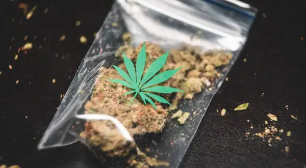 Co grozi za posiadanie 5g marihuany? Sprawdź kary i konsekwencje