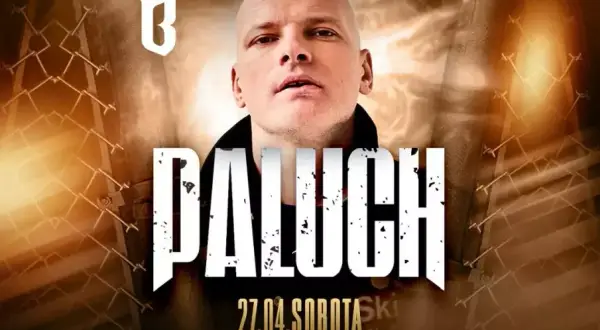 Ile trwa koncert Palucha? Czas trwania, który Cię zaskoczy!