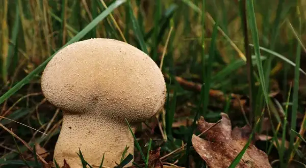 Ile worków zaprawy zmieści się na palecie? Praktyczny poradnik budowlańca