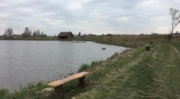 Łowisko Grzymalin: Najlepsze miejsca na wędkowanie i gatunki ryb