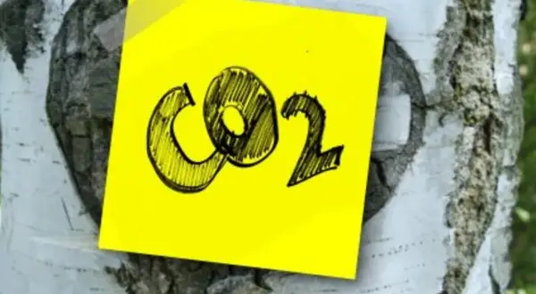 Emisja CO2 w Polsce: Jak znacząco spadły emisje i co to oznacza?