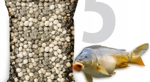 Zanęta wędkarska 5 kg – najlepsze smaki, które przyciągną ryby