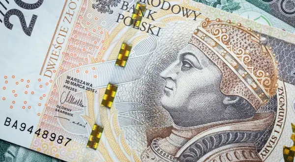 Ile można zarobić na kwiaciarni? Odkryj prawdziwe zarobki i koszty