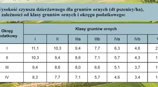 Czynsz dzierżawny – co to jest i jak uniknąć problemów prawnych?