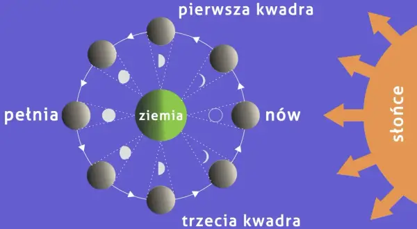 Odrobaczanie w jakiej fazie księżyca: odkryj skuteczne metody działania