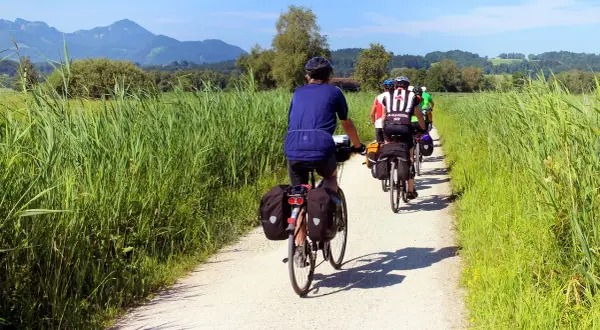 Grupa rowerzystów wyrusza na kilkudniowe wycieczki rowerowe, jadąc szutrową ścieżką wśród wysokich traw, z górami w tle.