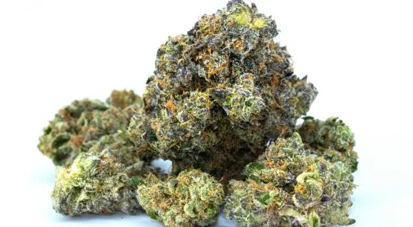 Czy marihuana odchudza? Prawda o wpływie na metabolizm i wagę