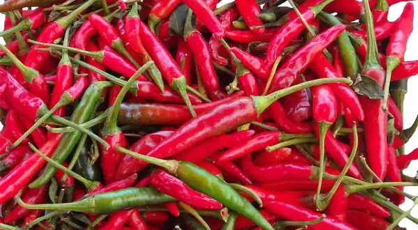 Quel pays mange le plus épicé ? Les cuisines qui réchauffent le cœur