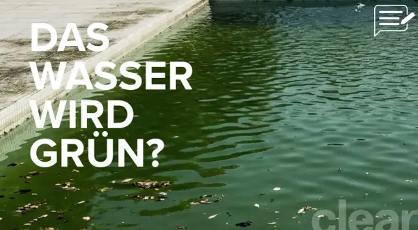 Grünes Poolwasser? Erfahren Sie, wie Sie mit Hausmitteln den Chlorgehalt senken und das Wasser wieder klar bekommen.