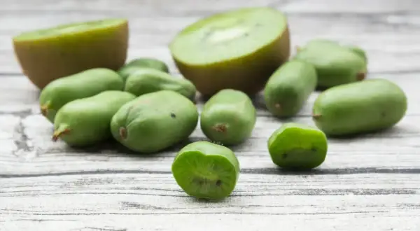 Mini kiwi, idealne do uprawy w doniczce, leżą obok przekrojonych owoców na drewnianym tle.