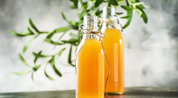 Jak zrobić grzybek kombucha - proste kroki do idealnej fermentacji