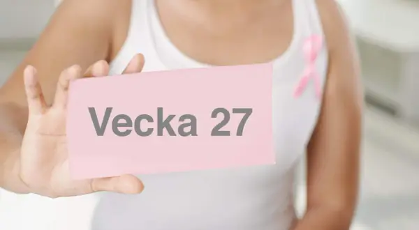 Gravid vecka 27. En person håller upp en rosa lapp med texten "Vecka 27". En rosa band pryder personens vita linne.