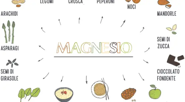 Fonti di magnesio: arachidi, legumi, crusca, peperoni, noci, mandorle, asparagi, semi di girasole, semi di zucca, cioccolato fondente, spinaci, avena, riso integrale, pinoli, mele verdi.