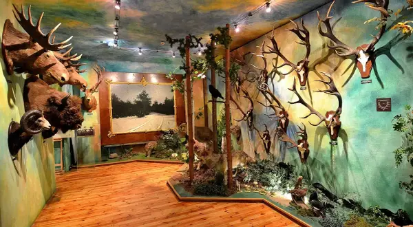 Praca w Muzeum Łowiectwa i Jeździectwa – oferty i wymagania zatrudnienia