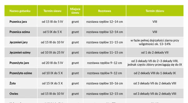 Tabela z planem sadzenia warzyw: pszenica, jęczmień, pszenżyto, żyto, owies, kukurydza. Podane terminy siewu i zbioru.