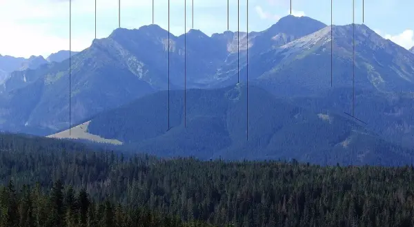 Widok na Tatry z lasem w pierwszym planie. Widoczne szczyty: Gęsia Szyja, Wielka Koszysta, Mała Koszysta. Trasa gęsia szyja.
