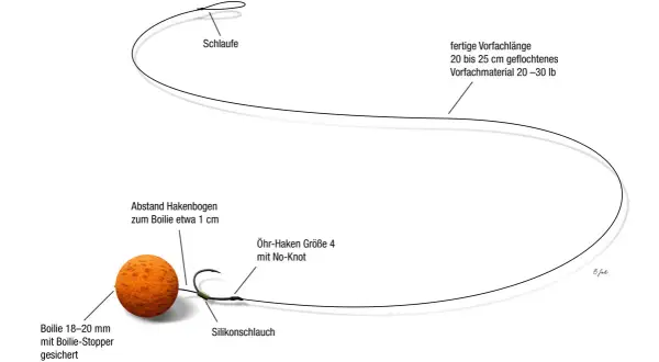 Eine detaillierte Darstellung einer **Karpfen Montage**: Boilie, Haken mit Silikonschlauch, Schlaufe und geflochtenes Vorfachmaterial.