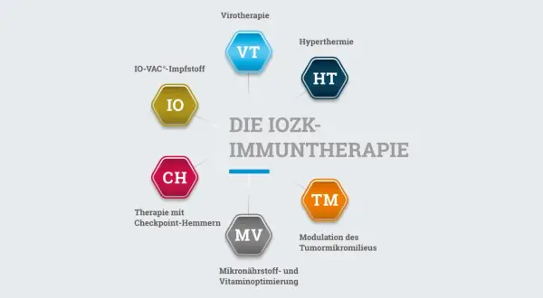 Schema der IOZK-Immuntherapie mit verschiedenen Ansätzen zur Verbesserung der Immuntherapie Lebenserwartung.