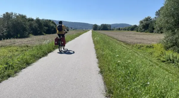 Rowerzysta przemierza malownicze jezioro Rożnowskie, odkrywając jego urokliwe trasy rowerowe.