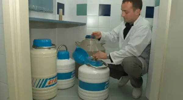Ile można zarobić na oddawaniu nasienia w banku spermy w Polsce?