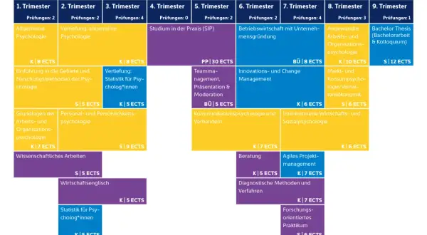 Wo kann man Wirtschaftspsychologie studieren? Dieser Studienverlaufsplan zeigt Module von Trimester 1-9, inkl. ECTS.