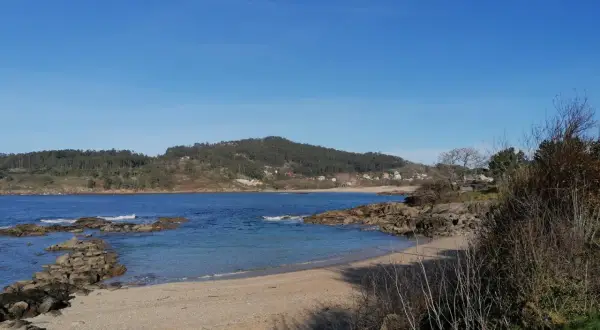La tranquila playa de Vilariño, con arena dorada y aguas azules, se extiende bajo un cielo despejado. Rocas salpican la orilla, y colinas verdes cubiertas de árboles la rodean.