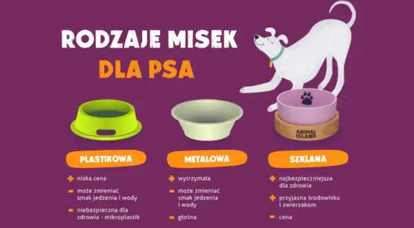 Jaka miska dla psa? Porównanie misek plastikowych, metalowych i szklanych. Miska szklana jest najbezpieczniejsza dla zdrowia i przyjazna środowisku.
