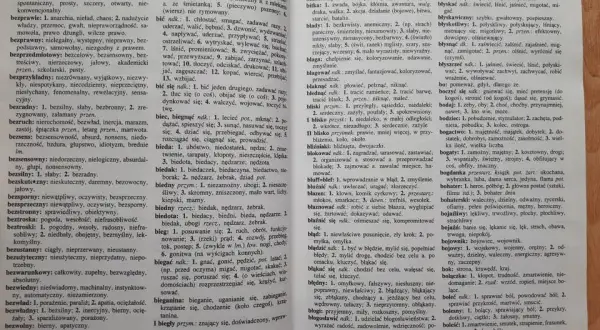 Słownik bliskoznaczny – wzbogac swoje słownictwo i unikaj powtórzeń