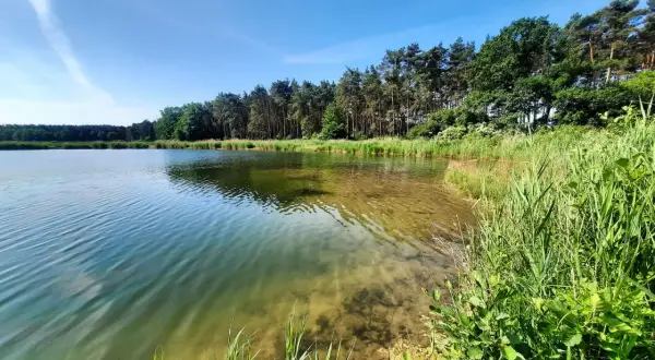 Spokojne łowisko u Macieja. Czysta woda, piaszczyste dno i bujna zieleń nad brzegiem zapraszają na relaks.