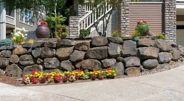 Natural stone retaining wall ideas: a sturdy wall of large rocks anchors a sloped yard, adorned with colorful flowers and planters.