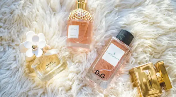 Popularne perfumy w USA: Daisy, Aqua Allegoria, L'Impératrice D&G i Dolce&Gabbana The One na puszystym tle.
