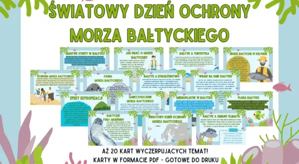 Światowy dzień ochrony Bałtyku. Infografika przedstawia problemy i piękno Bałtyku, od martwych stref po turystykę i kulturę.